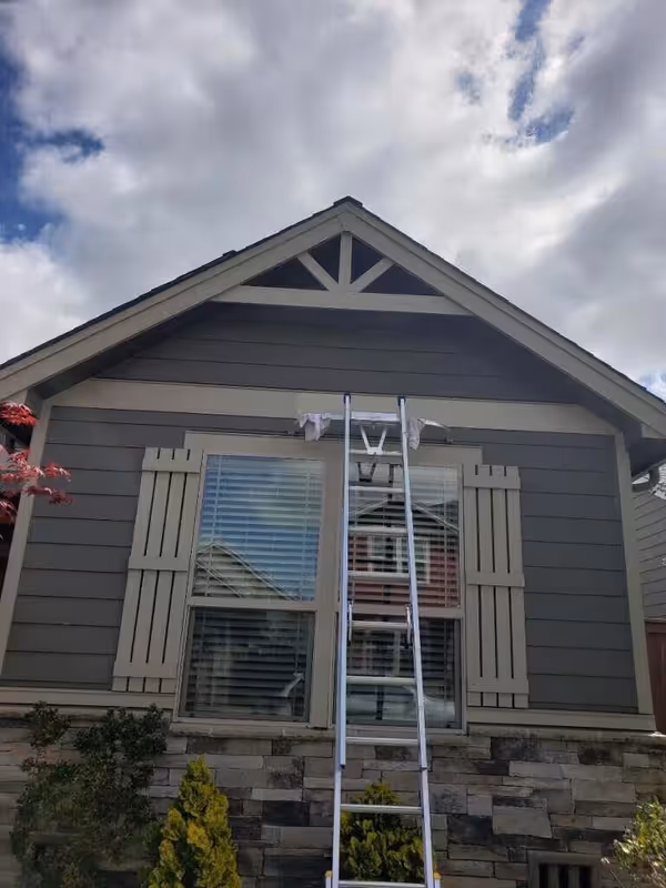 Window Cleaning